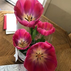 Meet your Posher, Sam